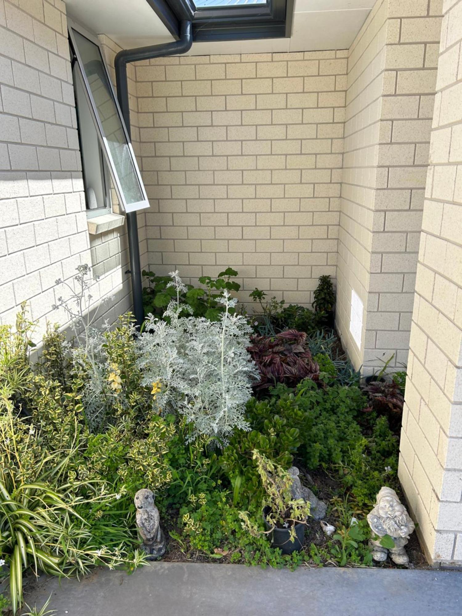 Almost Heaven Bnb New Plymouth Exterior foto