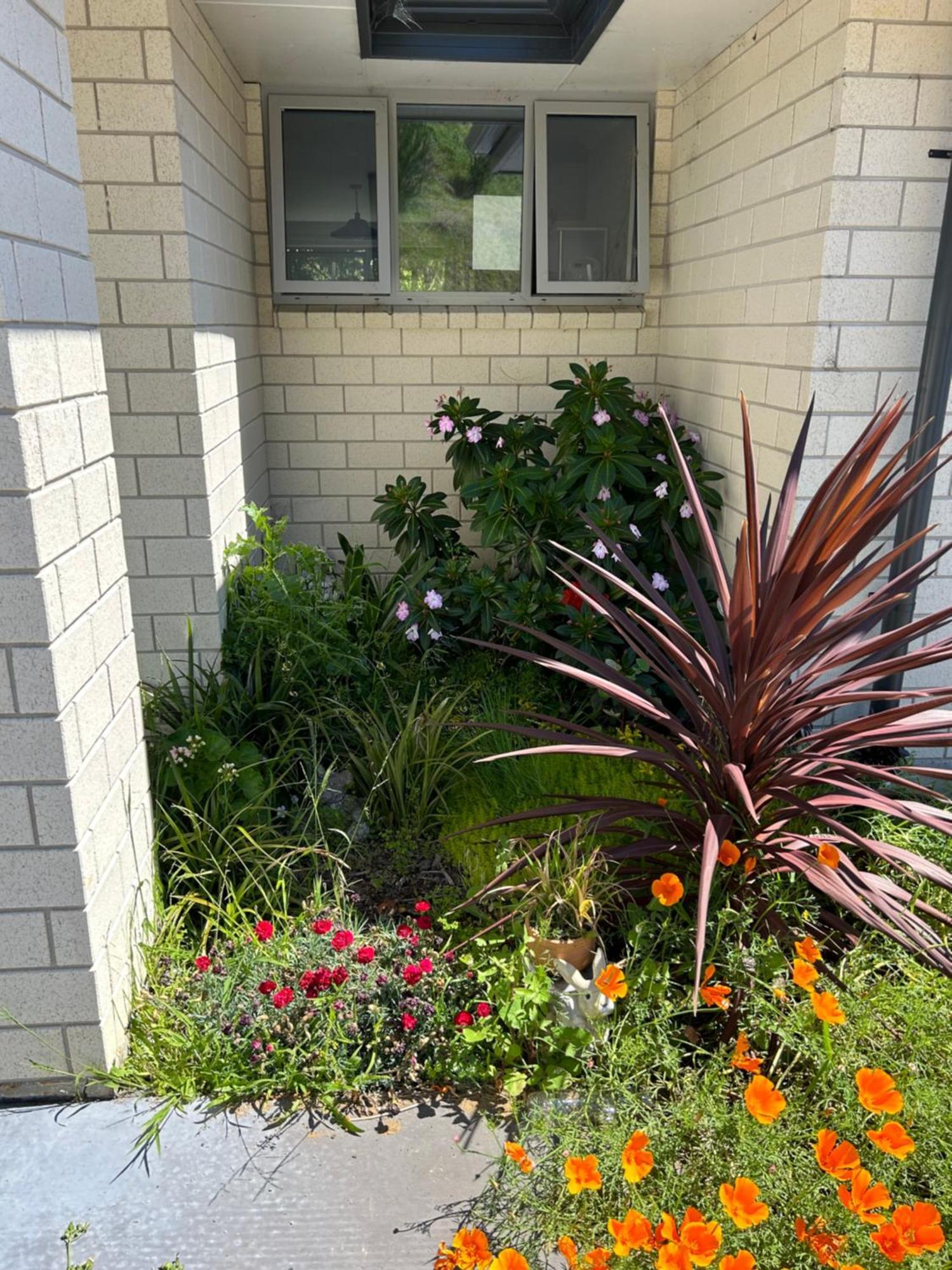Almost Heaven Bnb New Plymouth Exterior foto