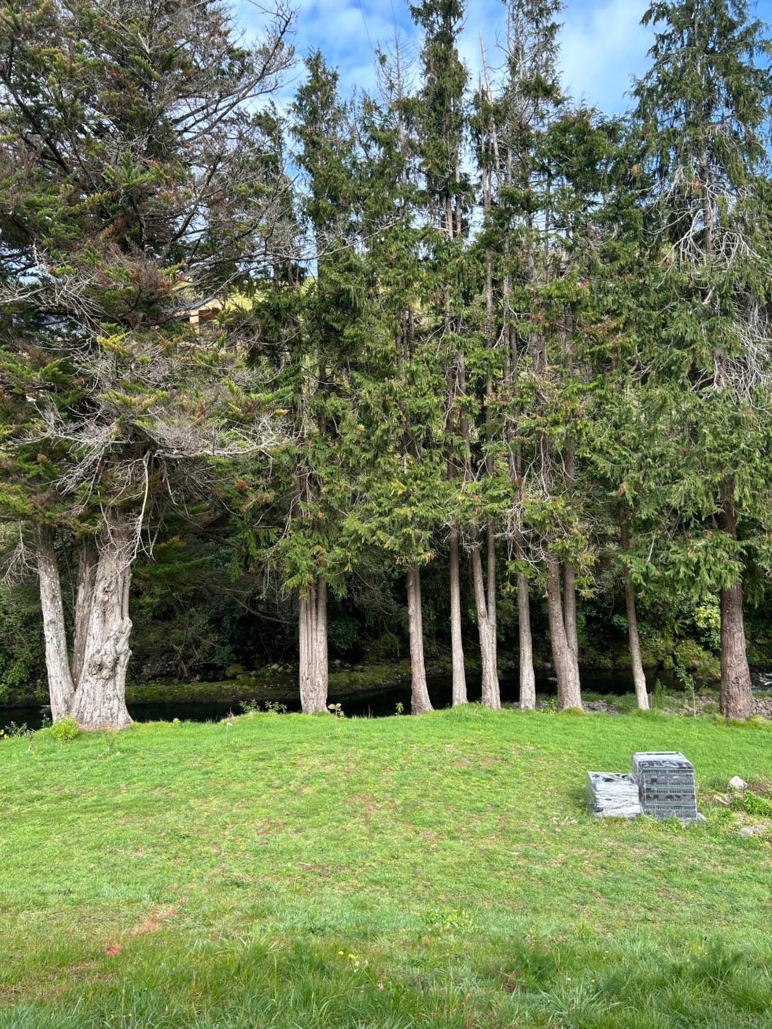 Almost Heaven Bnb New Plymouth Exterior foto